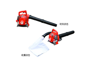EBV245A